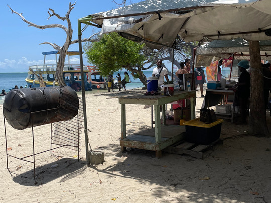 Morning star reef tours-克朗波因特必去景点