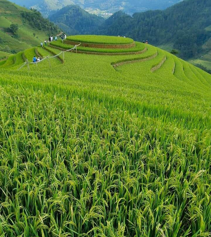 Sary-Ha Giang必去景点