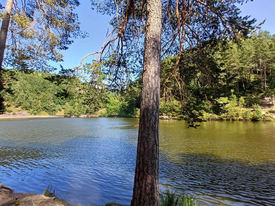 Lago di Costalovara-Renon必去景点