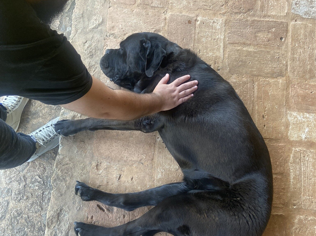 Ferreira & Passero-Sao Roque必去景点