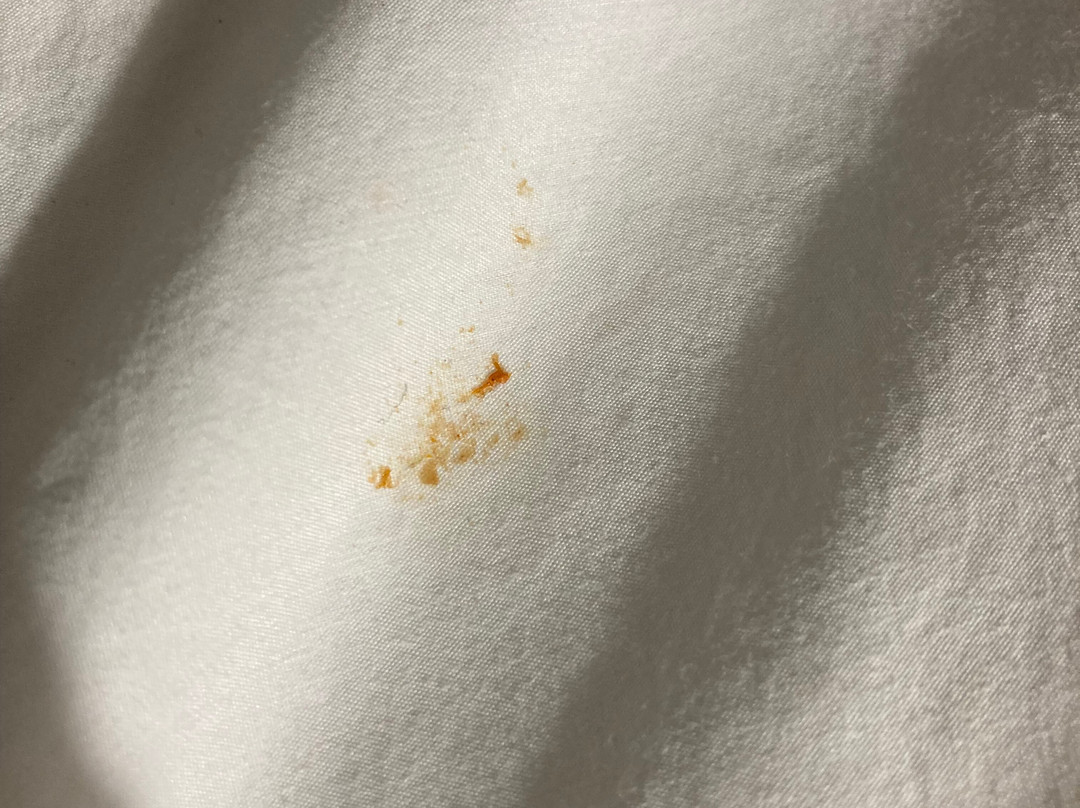 Best Western Beacon Inn主图