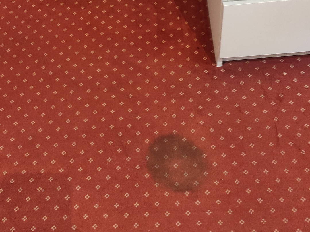 Hotel le Troncais主图