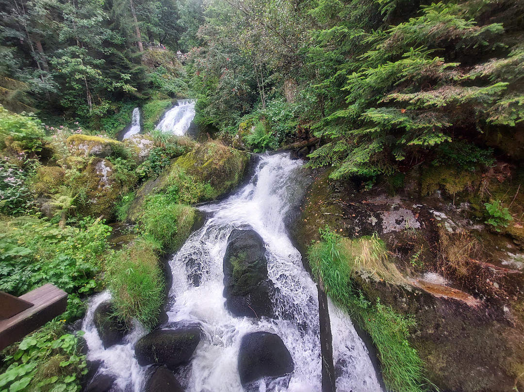 Hotel & Gasthaus Löwen主图