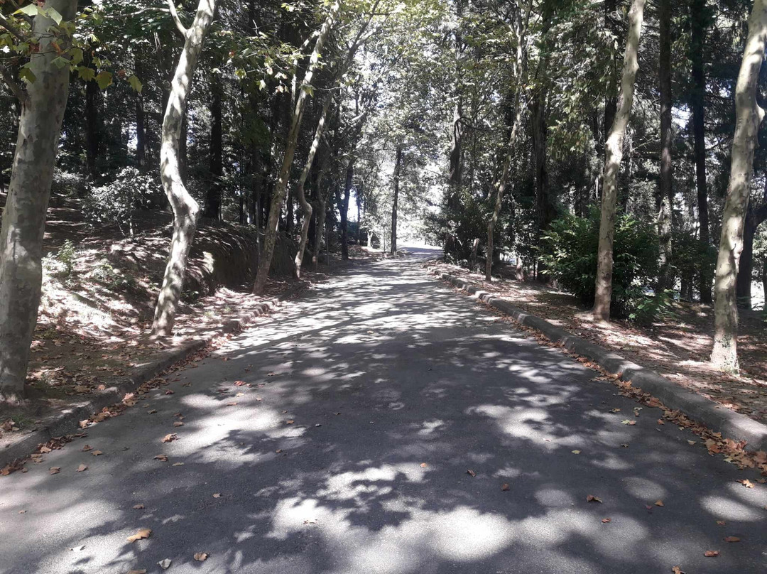 Parque da Nossa Senhora dos Milagres景点图片