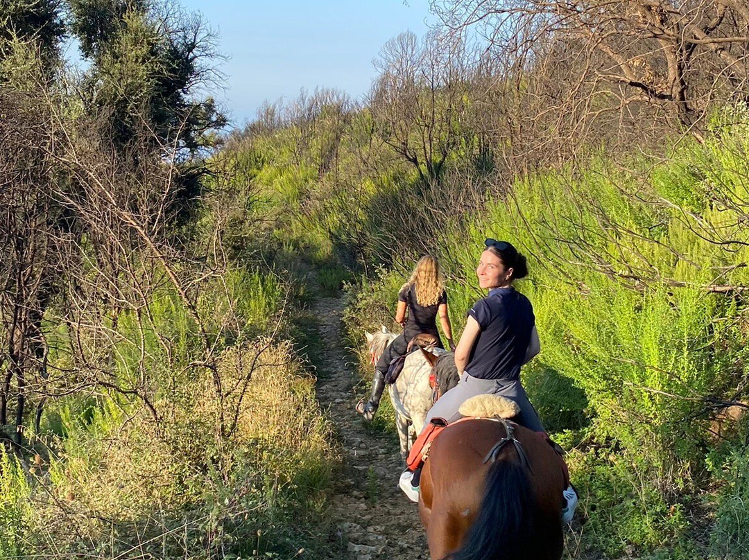 Ride Sicily景点图片