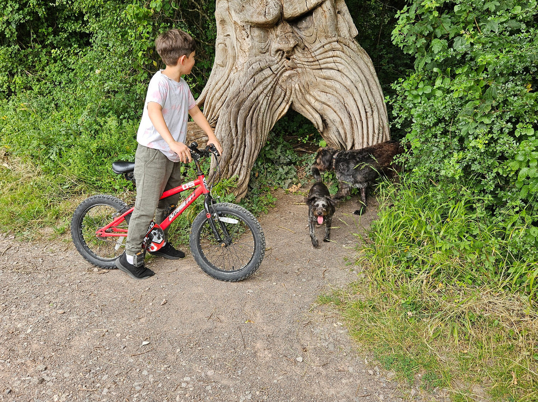 Cosmeston Lakes Country Park景点图片
