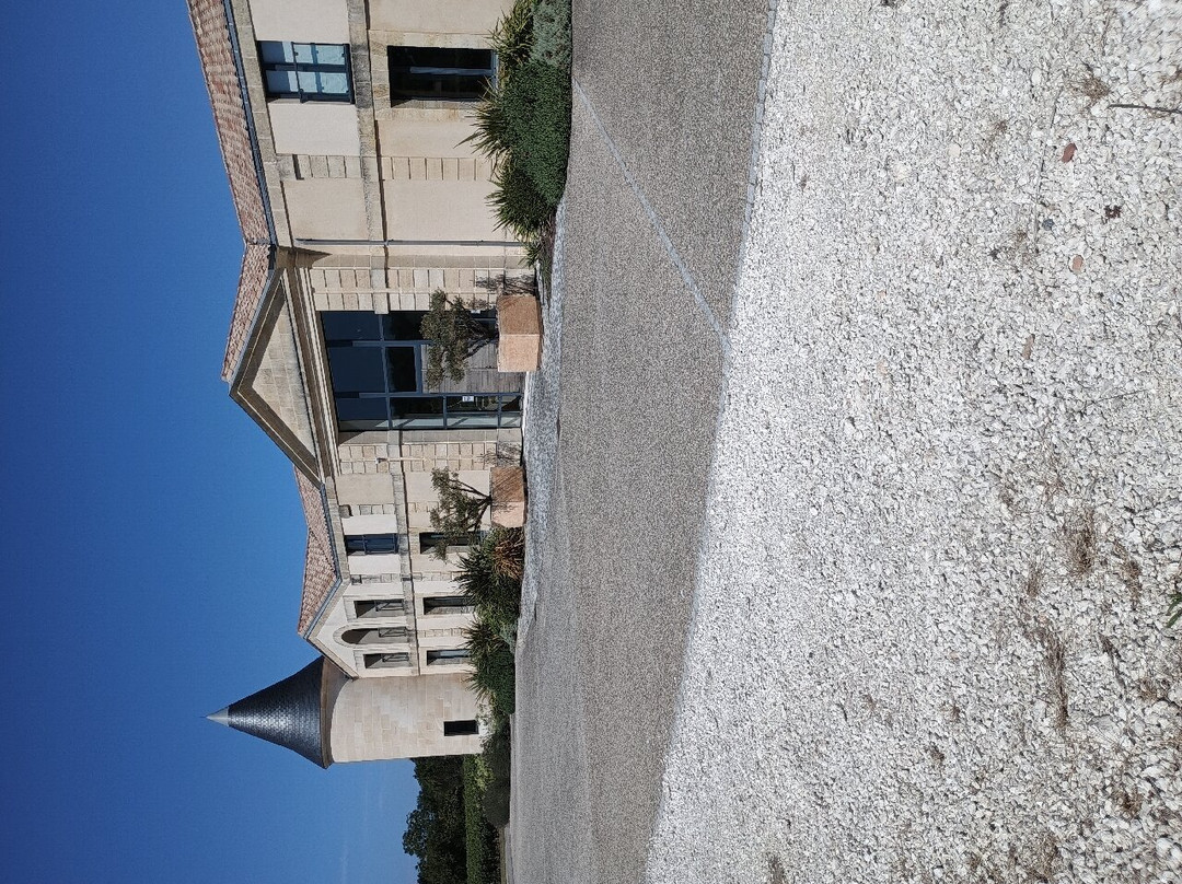 Chateau Tour Saint-Fort Chambre D'Hotes主图