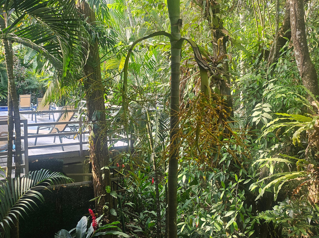 Hotel Plaza Yara主图