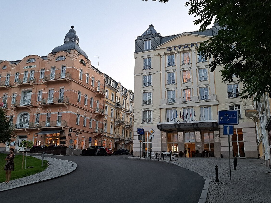 Spa Hotel Olympia Marienbad主图