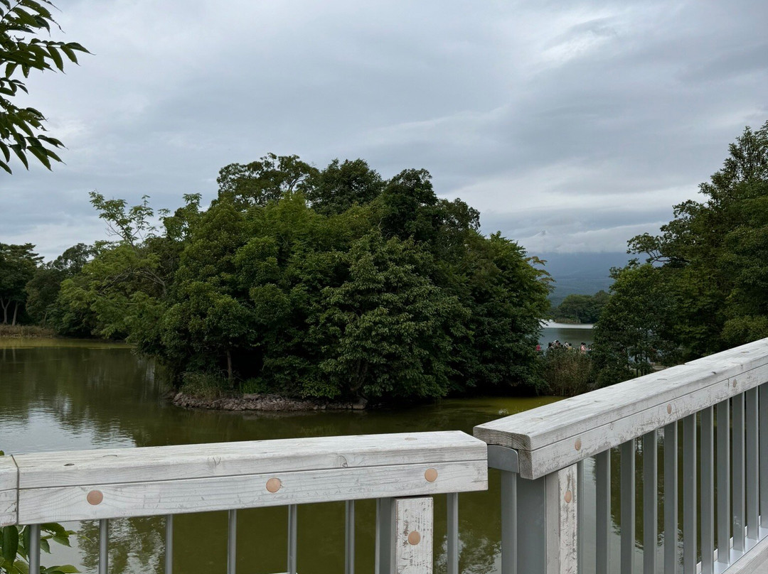 大沼公园人行道-七饭町必去景点