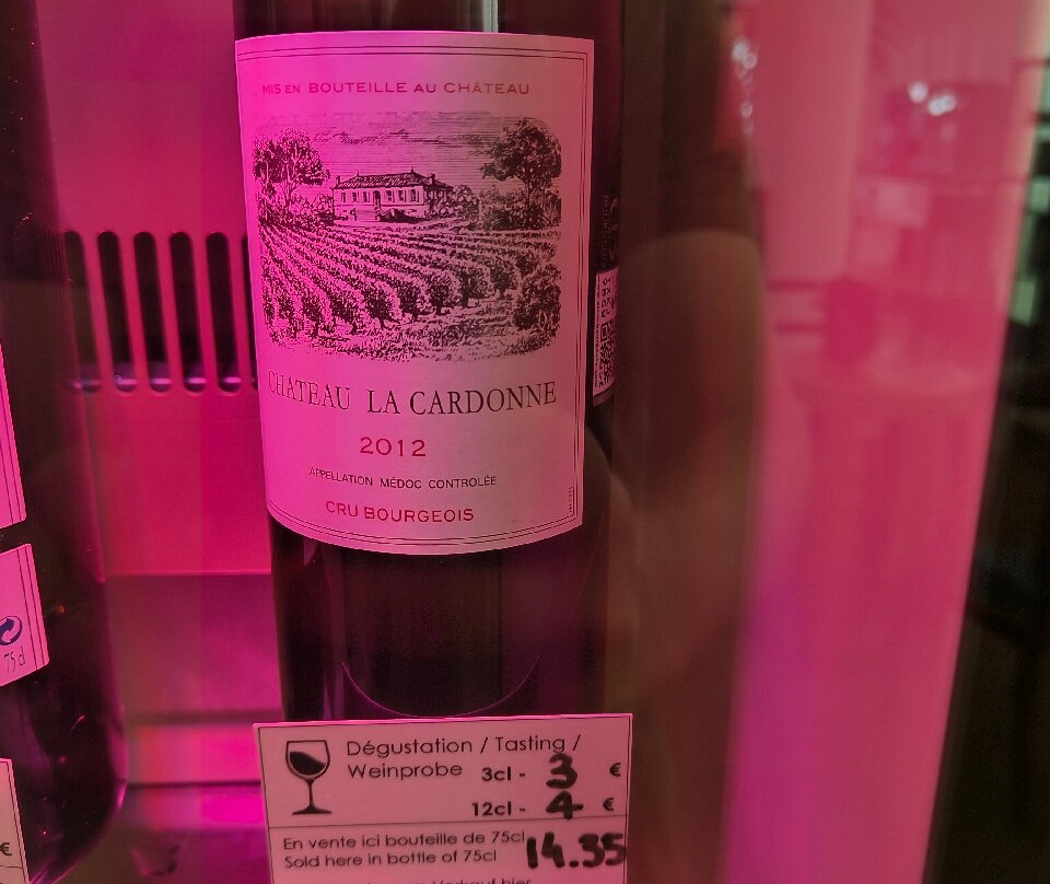 Pauillac's Tourist Office and Wine house.景点图片