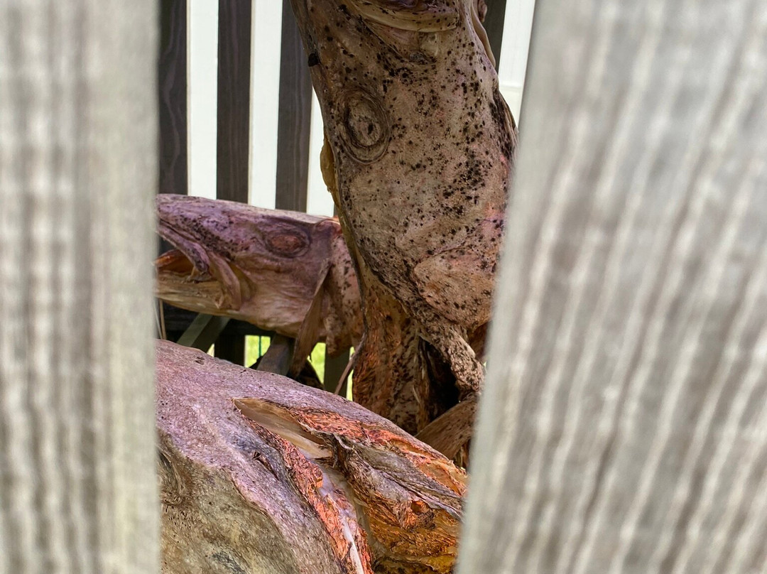 Thufa (þúfa)-雷克雅未克必去景点