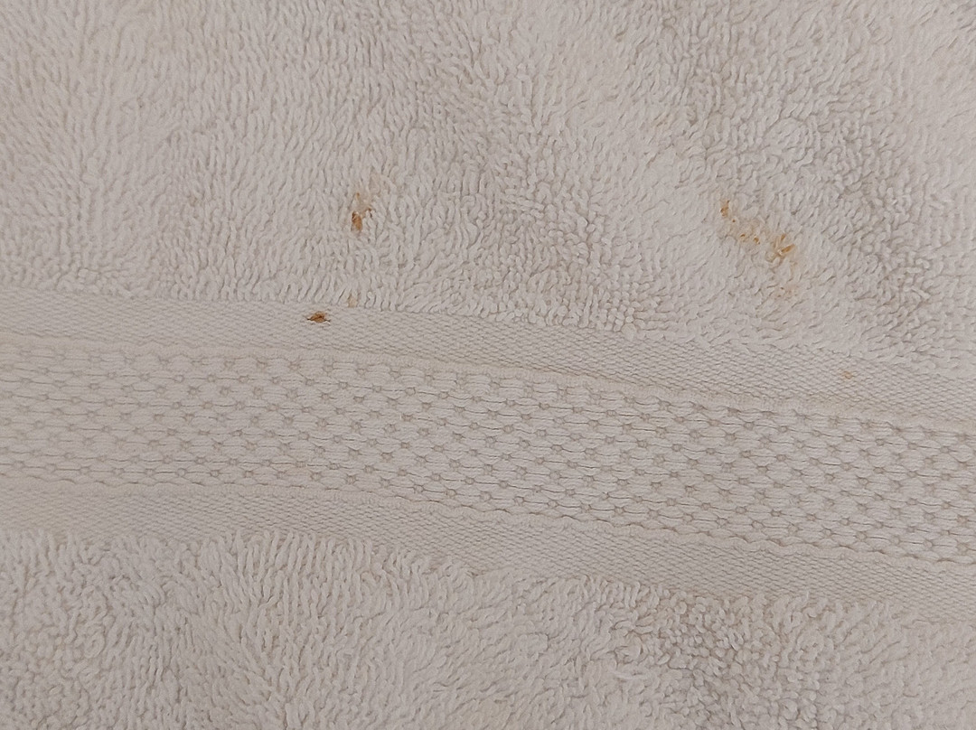 Futura Club Casarossa