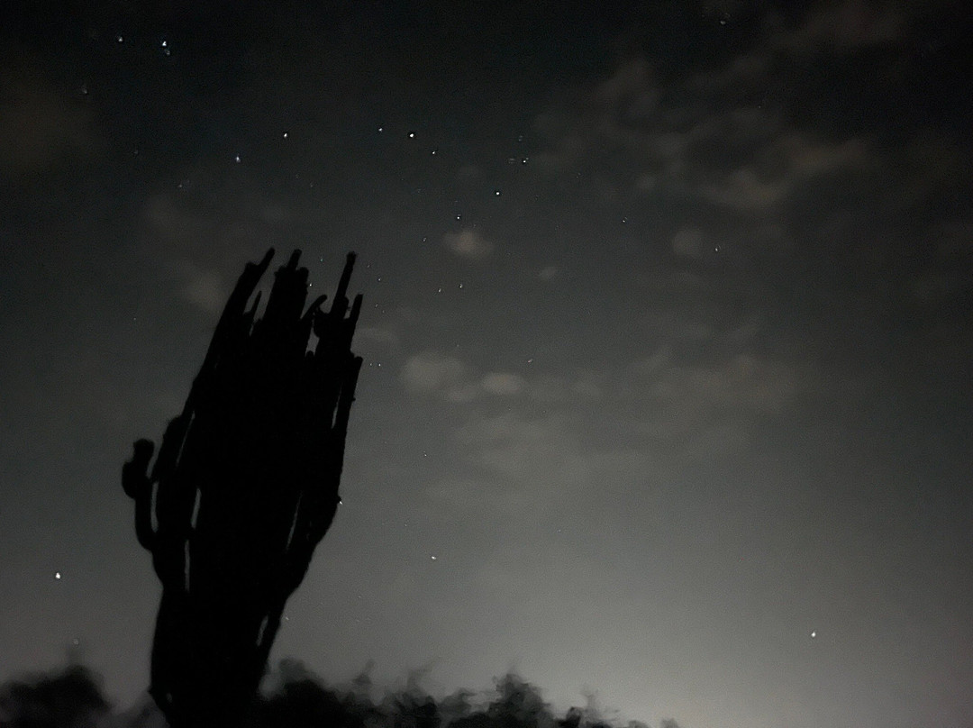 VyctoriaStars Observatorio Astronómico Tatacoa-Villavieja必去景点