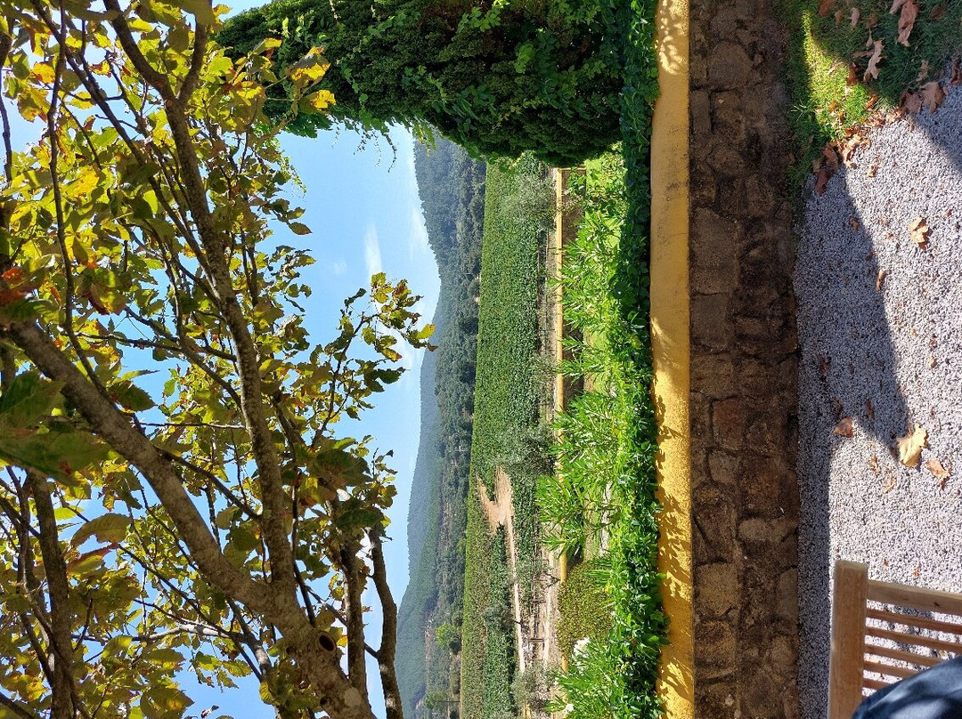 Quinta da Fonte Souto景点图片