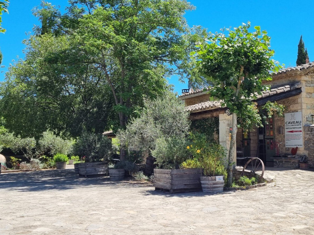 Domaine Mas De Martin景点图片