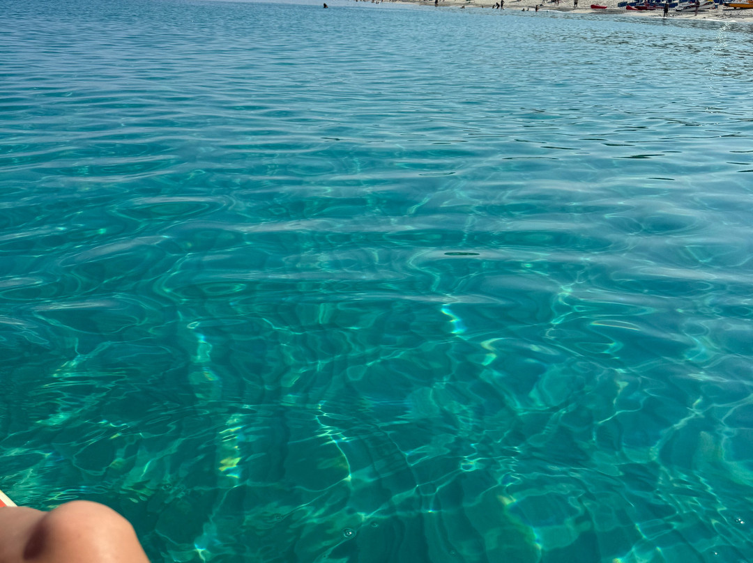 VOI Le Muse Essentia主图