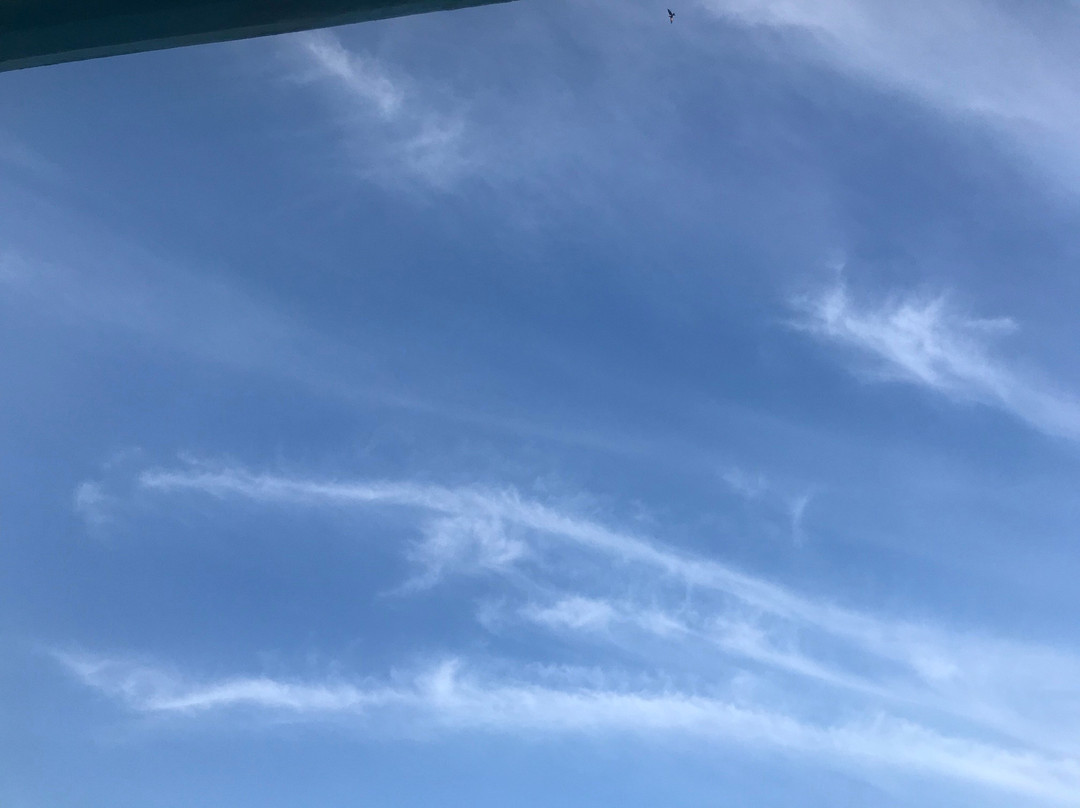 Tryp Habana Libre主图