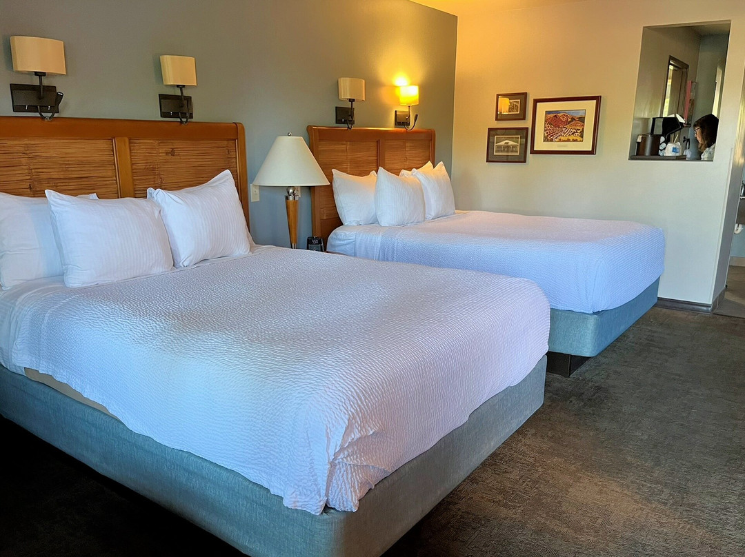 阿德莱德酒店主图