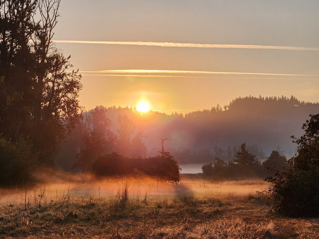 McKenzie Orchards Bed and Breakfast Inn主图