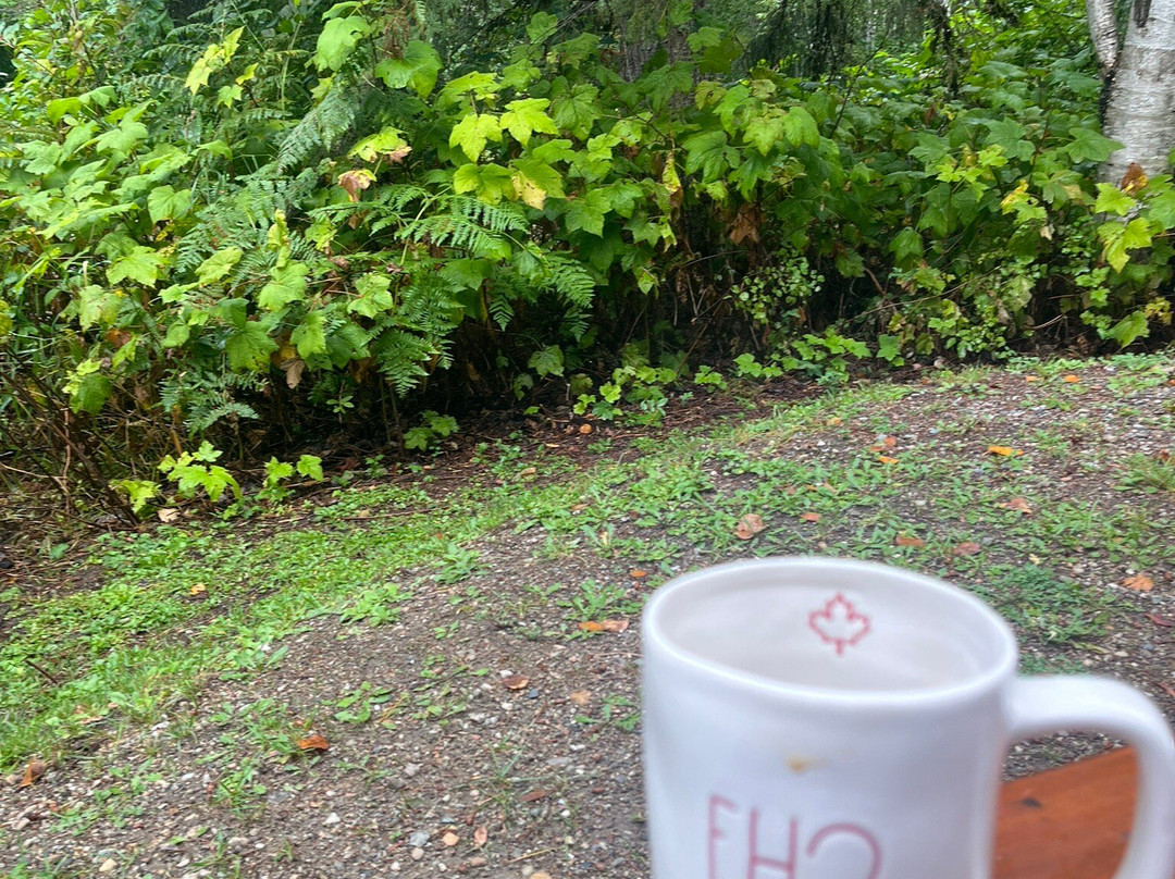 Blanket Creek Provincial Park-雷夫尔斯托克必去景点