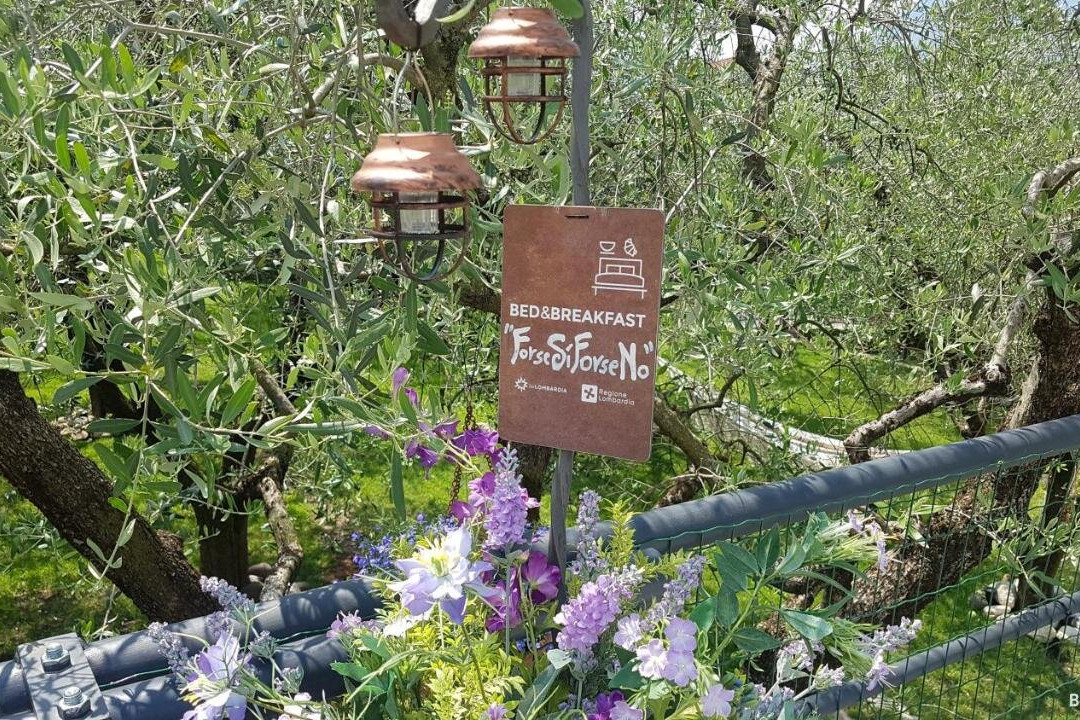 B&B ForseSiForseNo主图