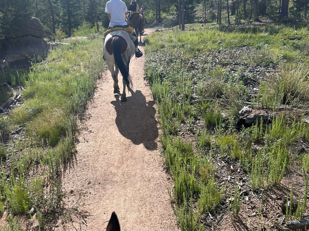 Bear Mountain Stables-Conifer必去景点