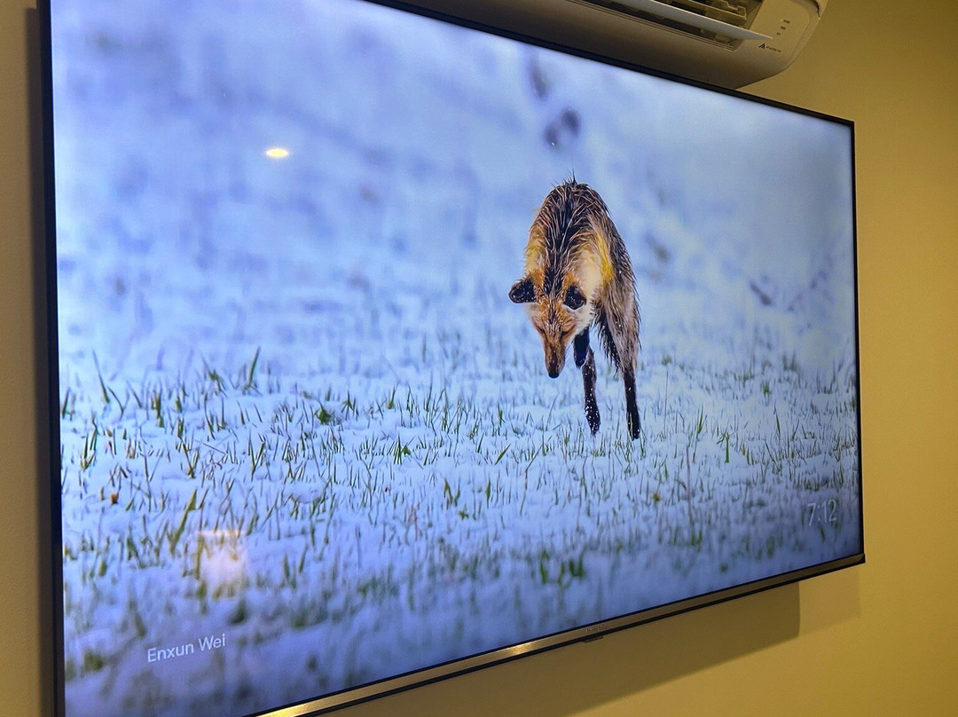 Warners at the Bay主图