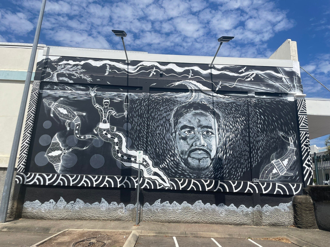 Street Art CBD Walking Trails-汤斯维尔必去景点