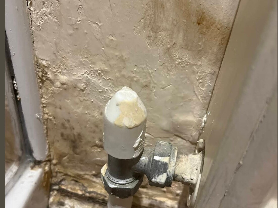 The Dorset Inn主图