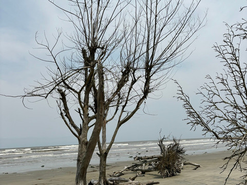Dunas do Araçá-Ilha Comprida必去景点