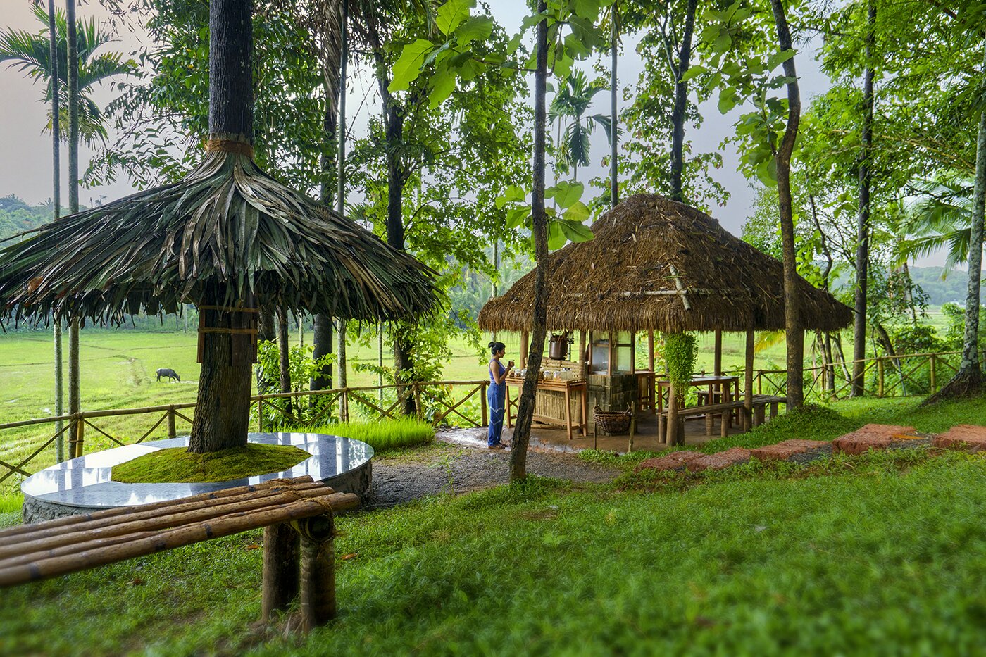 Crystal Kuruva Nature Resort & Spa-餐饮