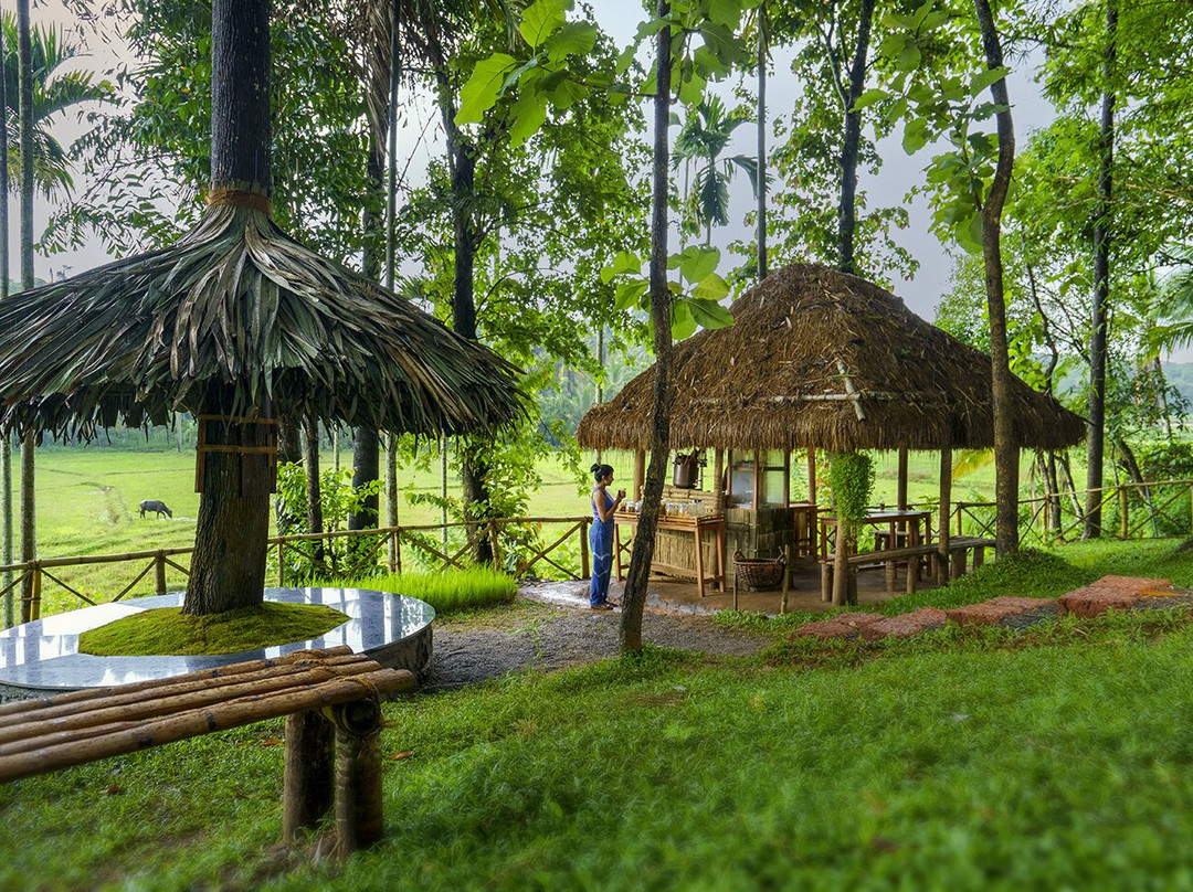 Crystal Kuruva Nature Resort & Spa主图