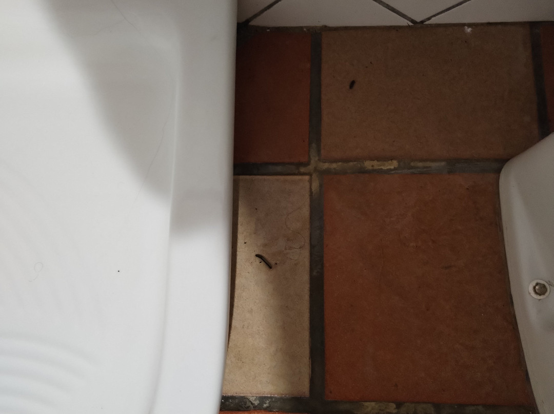 Il Casale B&B主图