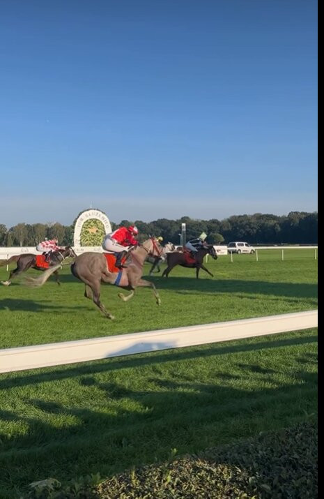 Sluzewiec Horse Race Track景点图片