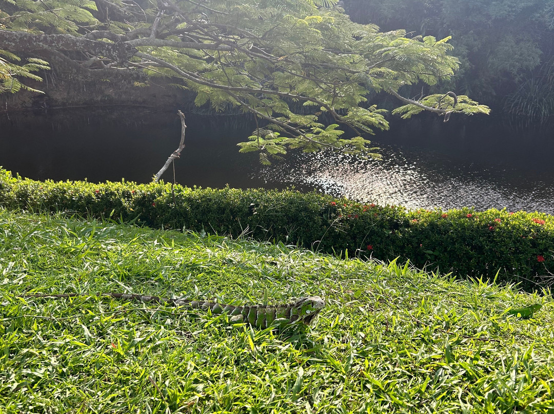 Hotel Deville Prime Salvador主图