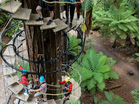 Redwoods Altitude-罗托鲁瓦必去景点