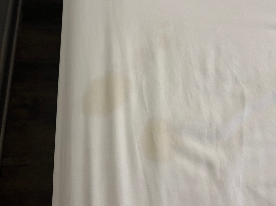 Super 8 by Wyndham Defuniak Springs主图