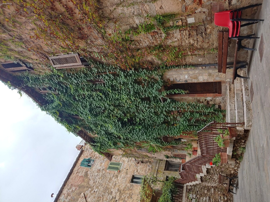 皮亚泽塔托斯卡尼住宿加早餐旅馆主图