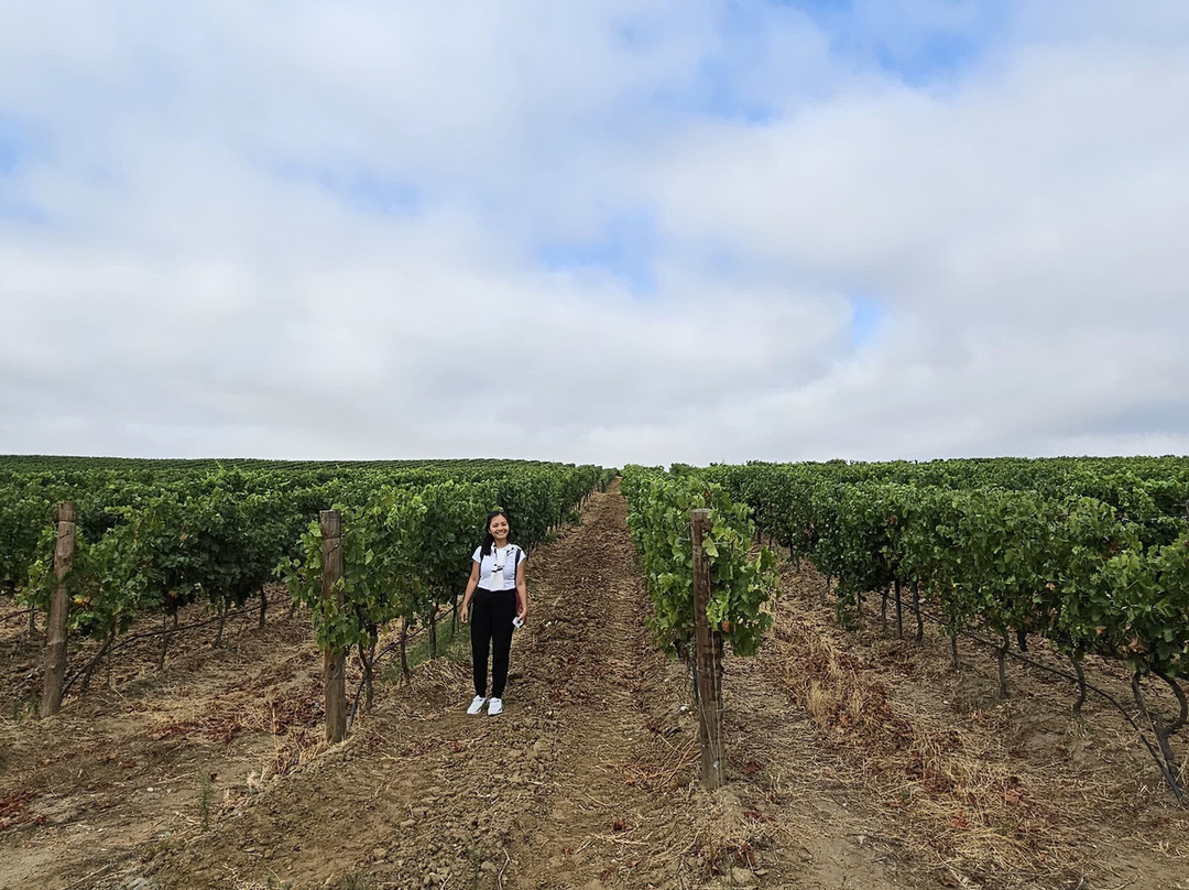 Alentejo Viti Tours-埃武拉必去景点