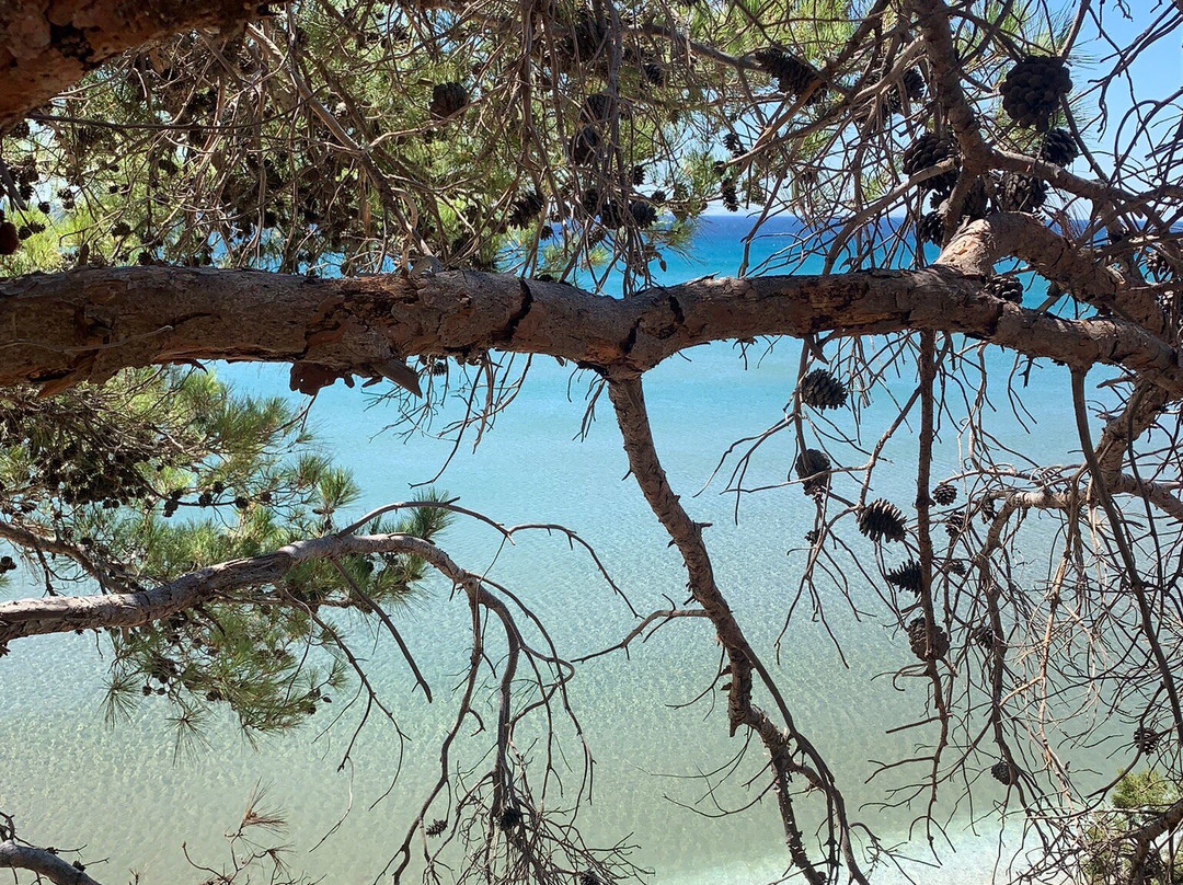 Gregory Studios主图