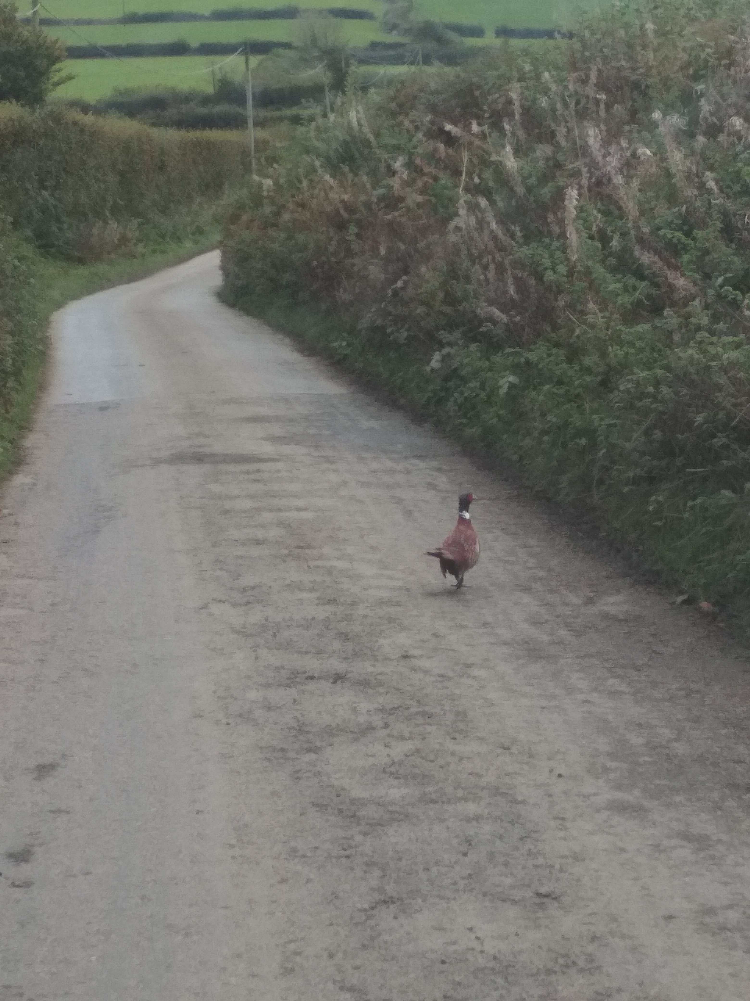 Stoke House B&B-官方