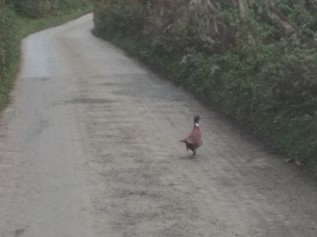 Stoke House B&B主图