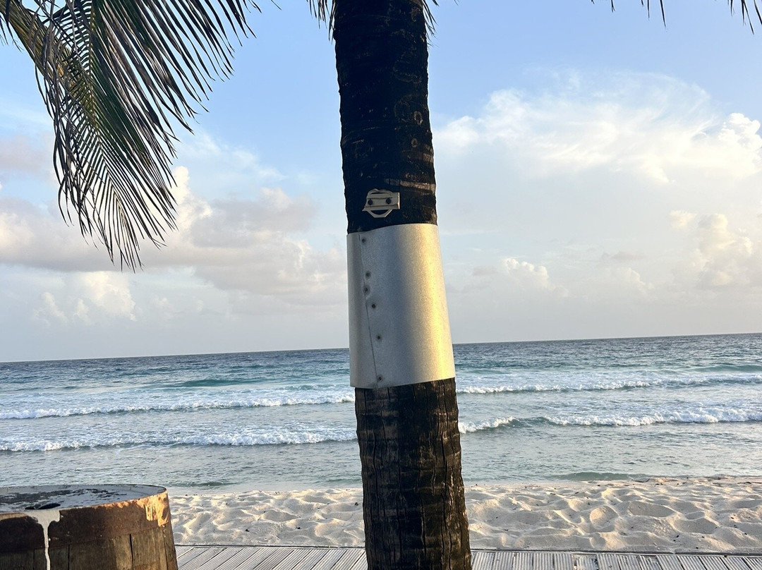 Chill Cafe Bar & Grill-Hastings必去景点