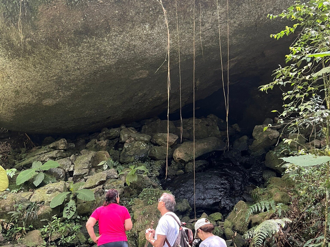 Muriqui Trilhas Ecologicas-Sao Francisco Xavier必去景点