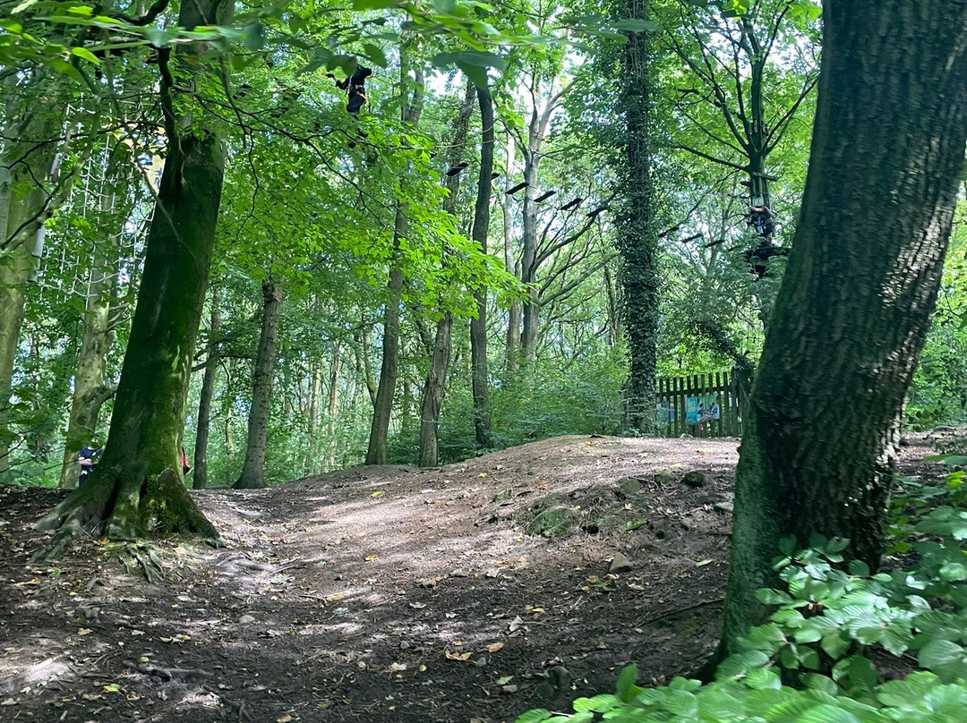 Lower Rivington Reservoirs-Rivington必去景点