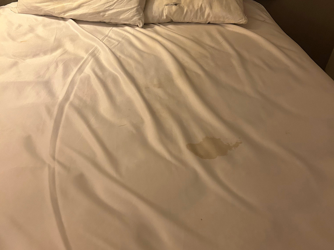 Red Roof Inn Tifton主图