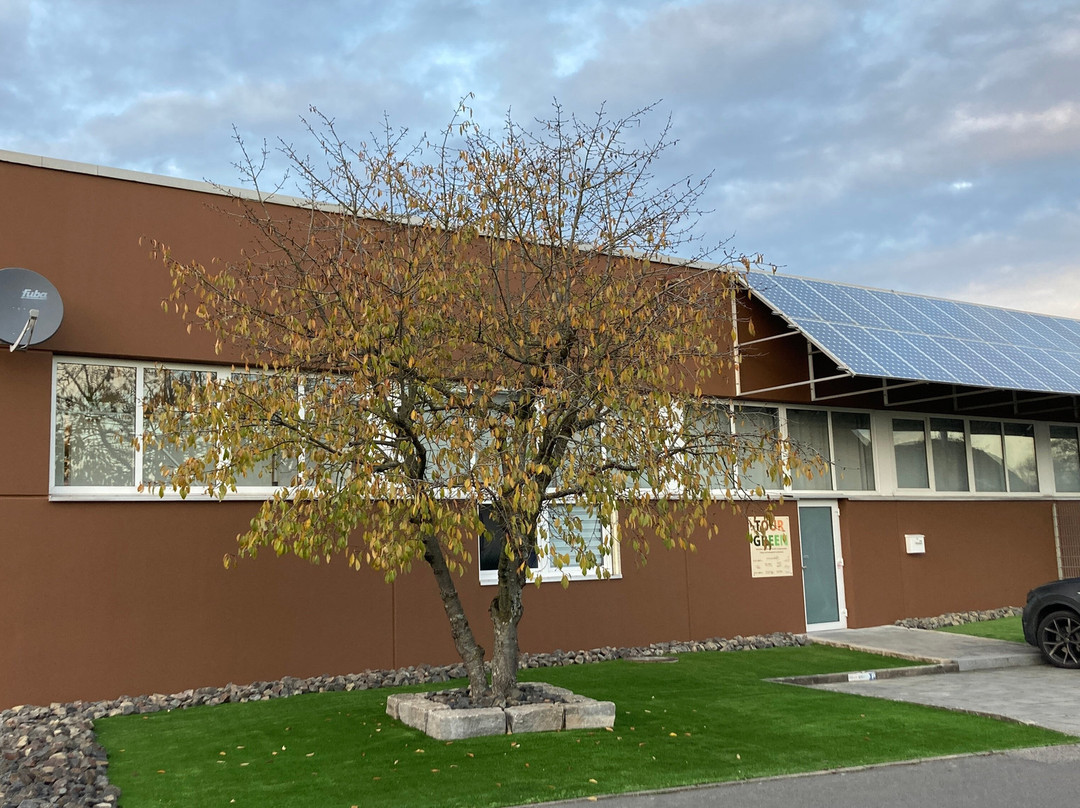 Tour Green Indoor Golf Center