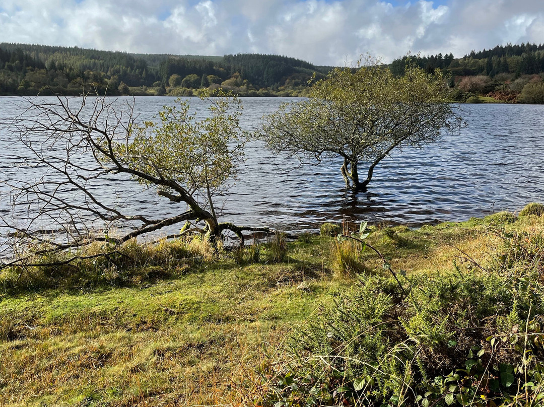 Fernworthy Reservoir景点图片