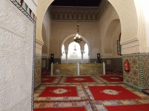 Morocco Tour Pro-非斯必去景点